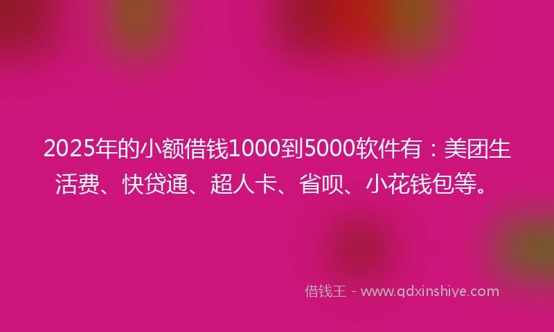 2025年的小额借钱1000到5000软件有：美团生活费、快贷通、超人卡、省呗、小花钱包等。