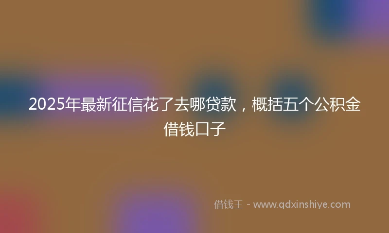 2025年最新征信花了去哪贷款，概括五个公积金借钱口子