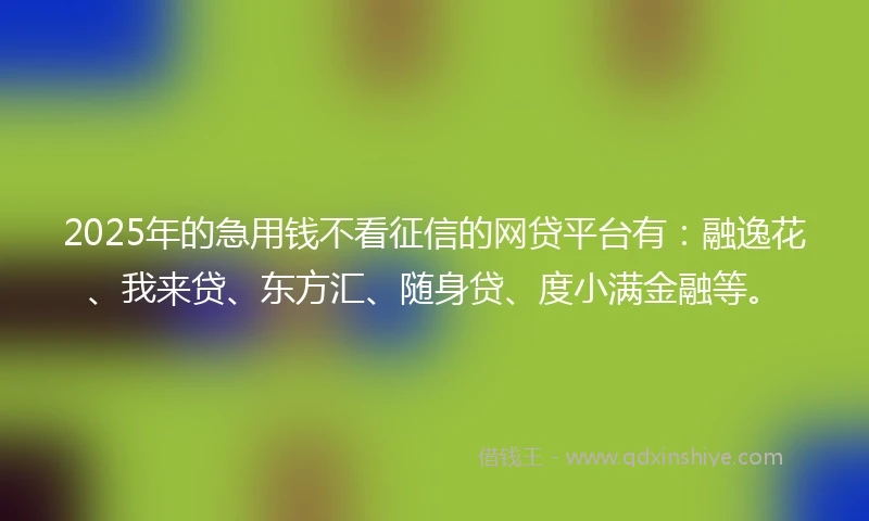2025年的急用钱不看征信的网贷平台有：融逸花、我来贷、东方汇、随身贷、度小满金融等。
