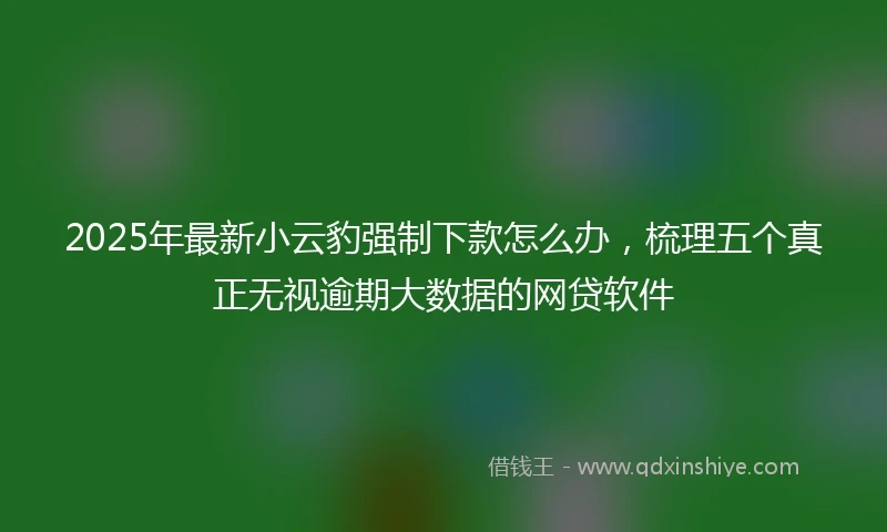 2025年最新小云豹强制下款怎么办，梳理五个真正无视逾期大数据的网贷软件