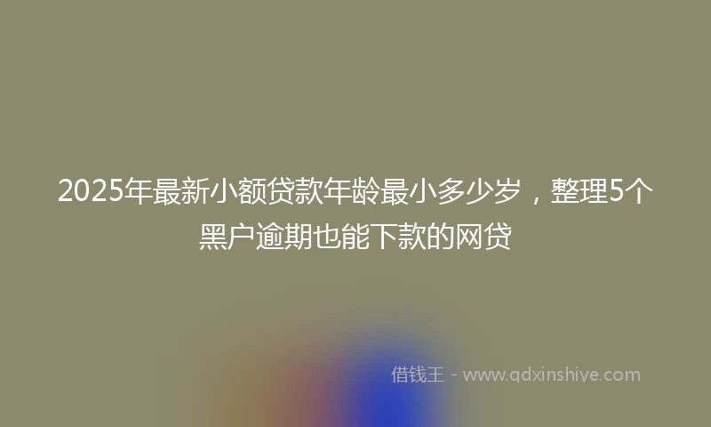 2025年最新小额贷款年龄最小多少岁，整理5个黑户逾期也能下款的网贷