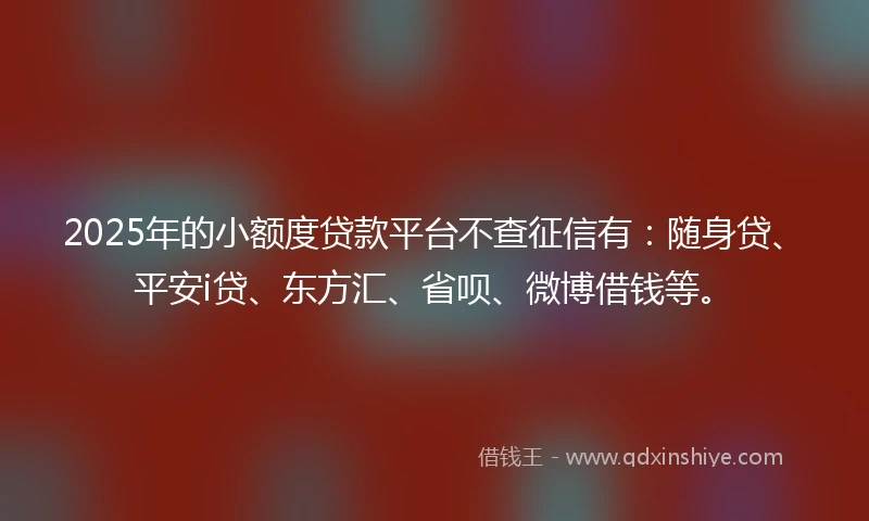 2025年的小额度贷款平台不查征信有：随身贷、平安i贷、东方汇、省呗、微博借钱等。