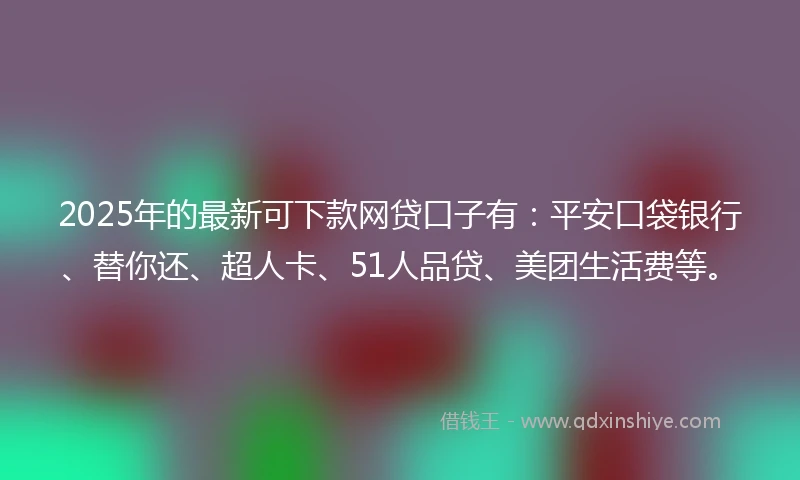 2025年的最新可下款网贷口子有：平安口袋银行、替你还、超人卡、51人品贷、美团生活费等。