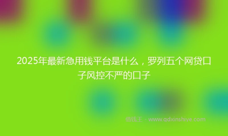 2025年最新急用钱平台是什么，罗列五个网贷口子风控不严的口子