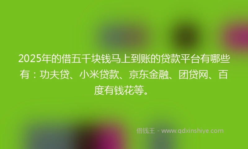2025年的借五千块钱马上到账的贷款平台有哪些有：功夫贷、小米贷款、京东金融、团贷网、百度有钱花等。