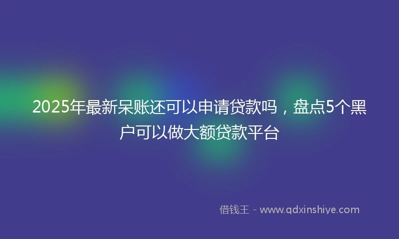2025年最新呆账还可以申请贷款吗，盘点5个黑户可以做大额贷款平台