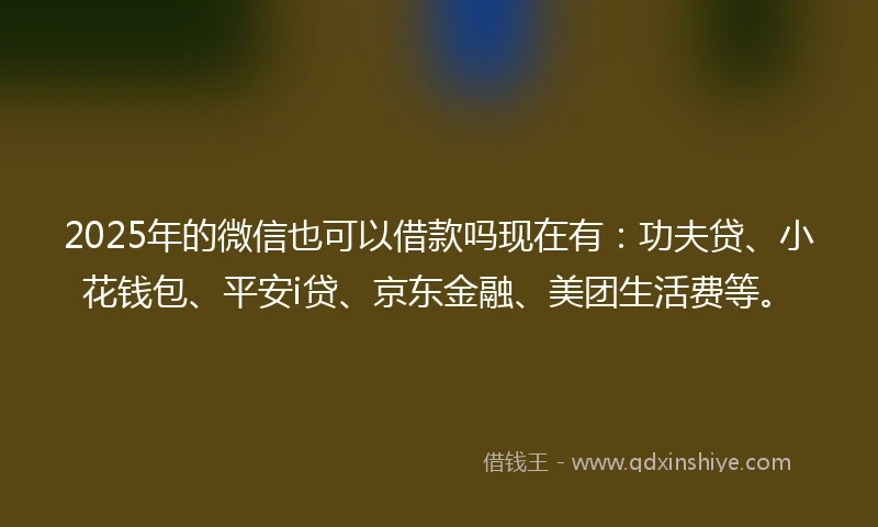 2025年的微信也可以借款吗现在有：功夫贷、小花钱包、平安i贷、京东金融、美团生活费等。