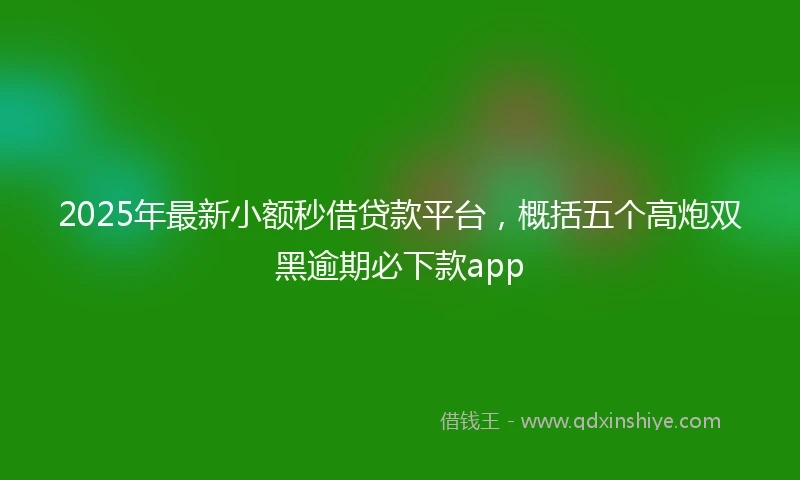 2025年最新小额秒借贷款平台，概括五个高炮双黑逾期必下款app
