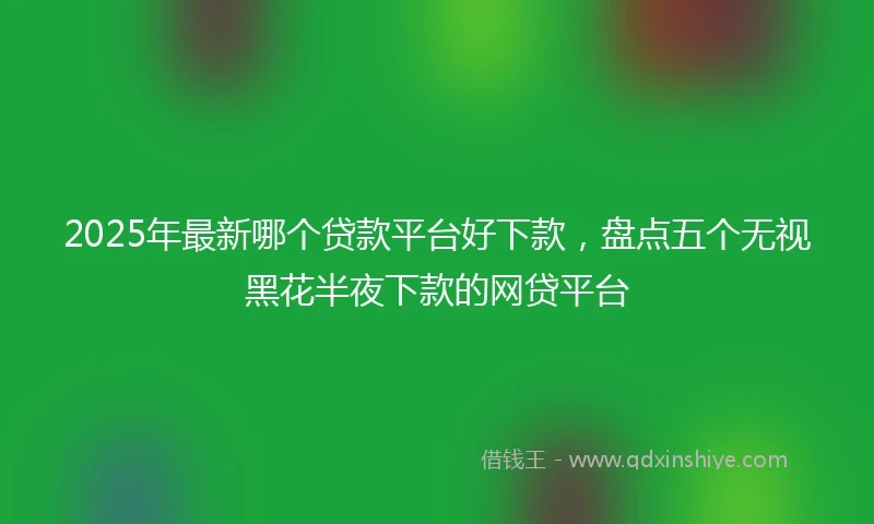 2025年最新哪个贷款平台好下款，盘点五个无视黑花半夜下款的网贷平台