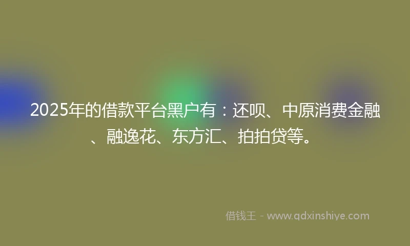 2025年的借款平台黑户有：还呗、中原消费金融、融逸花、东方汇、拍拍贷等。