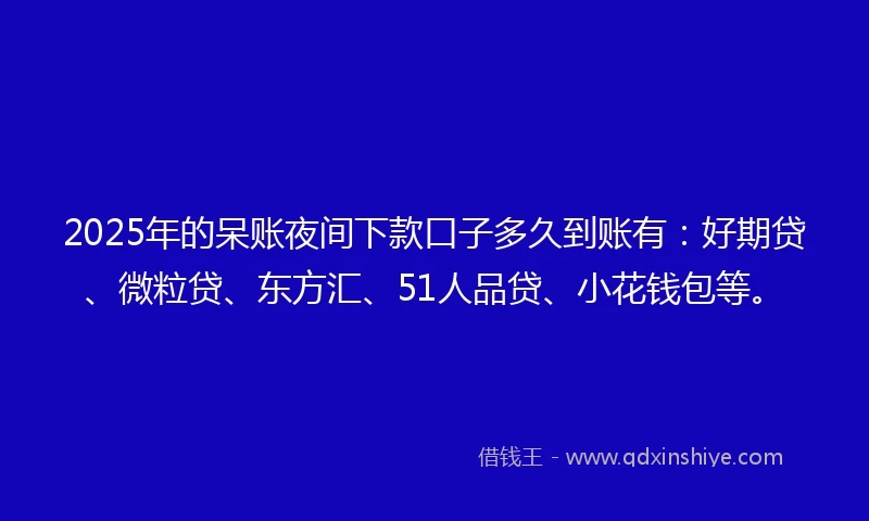 2025年的呆账夜间下款口子多久到账有：好期贷、微粒贷、东方汇、51人品贷、小花钱包等。