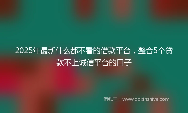 2025年最新什么都不看的借款平台，整合5个贷款不上诚信平台的口子