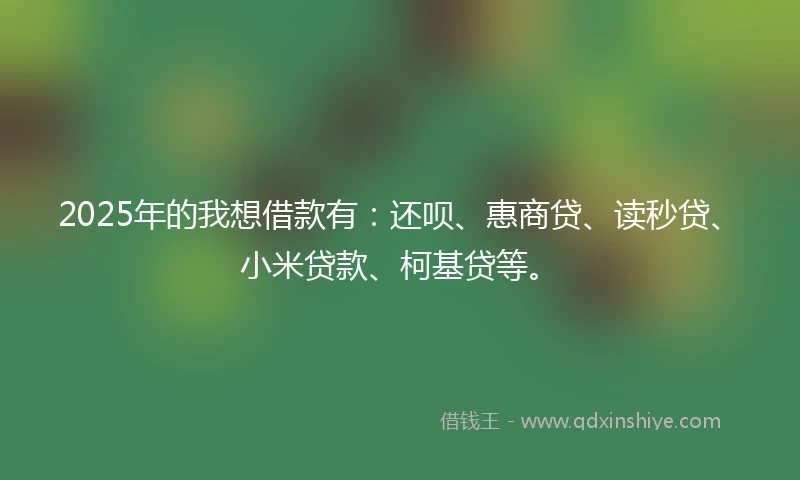 2025年的我想借款有：还呗、惠商贷、读秒贷、小米贷款、柯基贷等。