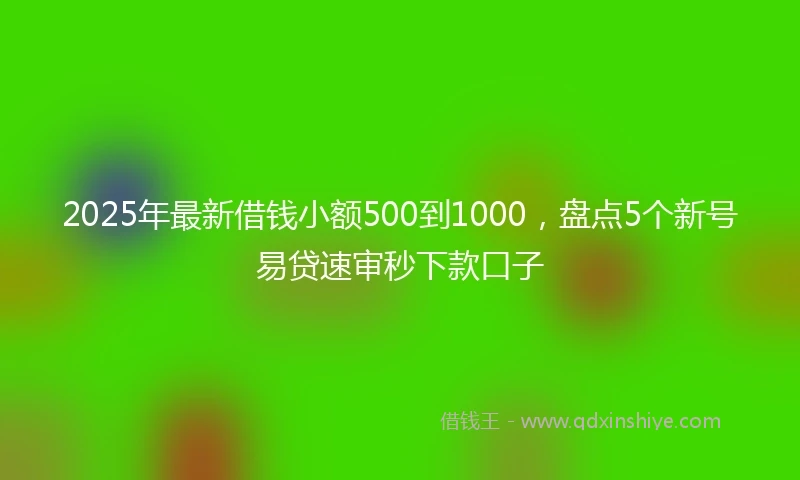 2025年最新借钱小额500到1000，盘点5个新号易贷速审秒下款口子