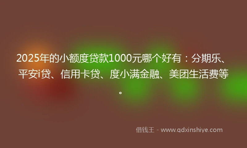 2025年的小额度贷款1000元哪个好有：分期乐、平安i贷、信用卡贷、度小满金融、美团生活费等。