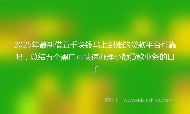 2025年最新借五千块钱马上到账的贷款平台可靠吗，总结五个黑户可快速办理小额贷款业务的口子