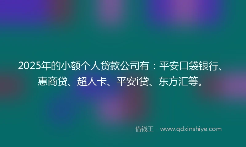 2025年的小额个人贷款公司有：平安口袋银行、惠商贷、超人卡、平安i贷、东方汇等。