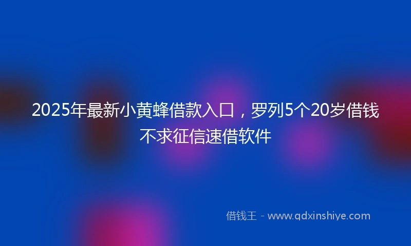 2025年最新小黄蜂借款入口，罗列5个20岁借钱不求征信速借软件
