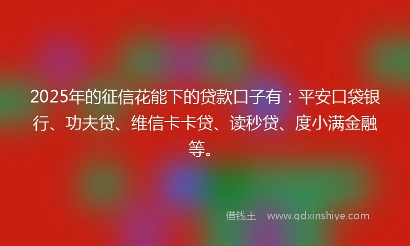 2025年的征信花能下的贷款口子有：平安口袋银行、功夫贷、维信卡卡贷、读秒贷、度小满金融等。