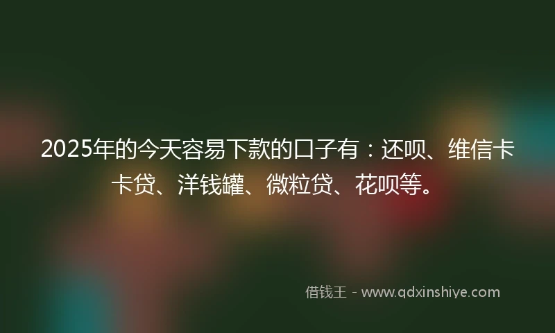 2025年的今天容易下款的口子有：还呗、维信卡卡贷、洋钱罐、微粒贷、花呗等。