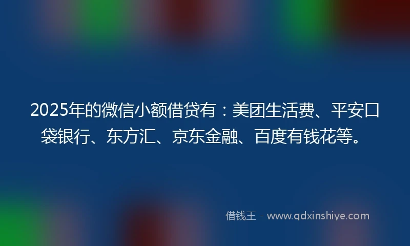 2025年的微信小额借贷有：美团生活费、平安口袋银行、东方汇、京东金融、百度有钱花等。