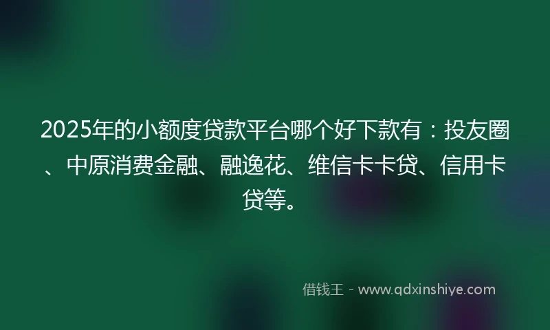 2025年的小额度贷款平台哪个好下款有：投友圈、中原消费金融、融逸花、维信卡卡贷、信用卡贷等。