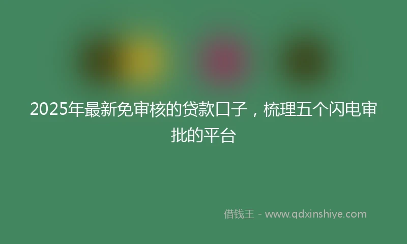 2025年最新免审核的贷款口子，梳理五个闪电审批的平台