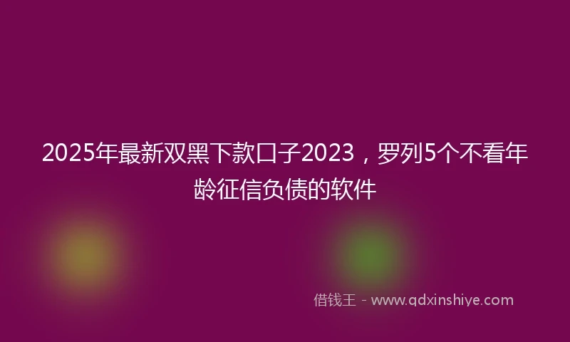 2025年最新双黑下款口子2023，罗列5个不看年龄征信负债的软件