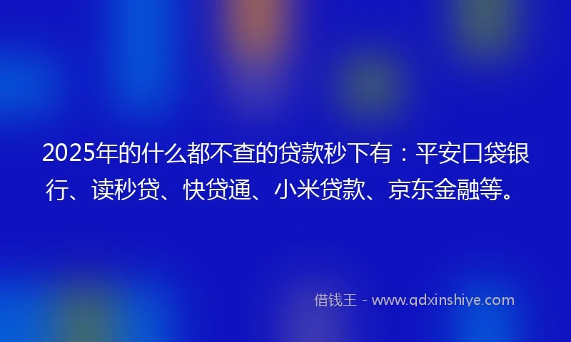 2025年的什么都不查的贷款秒下有：平安口袋银行、读秒贷、快贷通、小米贷款、京东金融等。