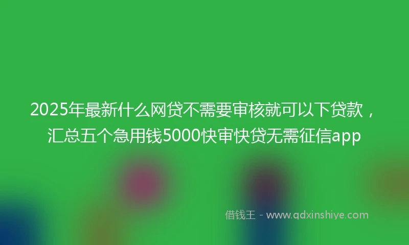 2025年最新什么网贷不需要审核就可以下贷款，汇总五个急用钱5000快审快贷无需征信app