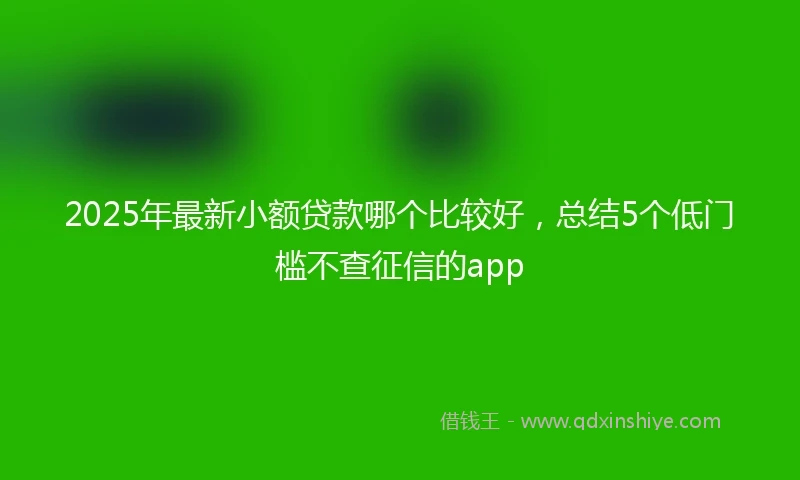 2025年最新小额贷款哪个比较好，总结5个低门槛不查征信的app