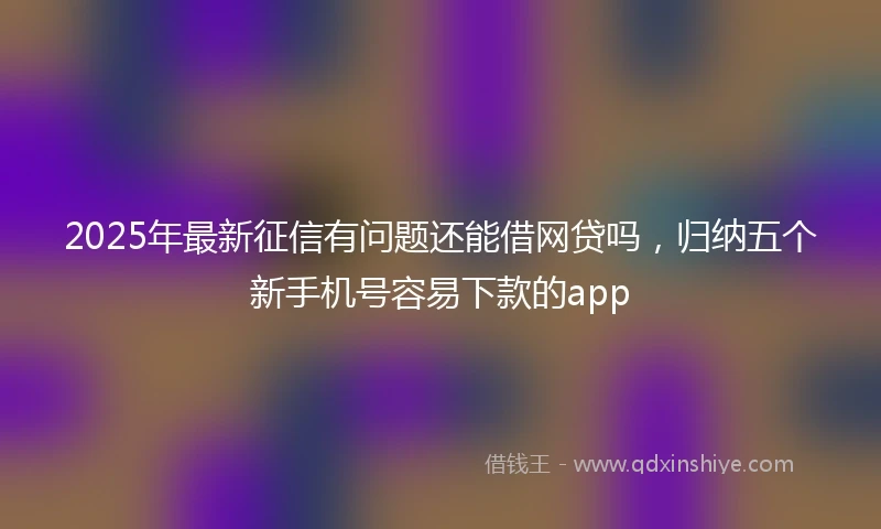 2025年最新征信有问题还能借网贷吗，归纳五个新手机号容易下款的app