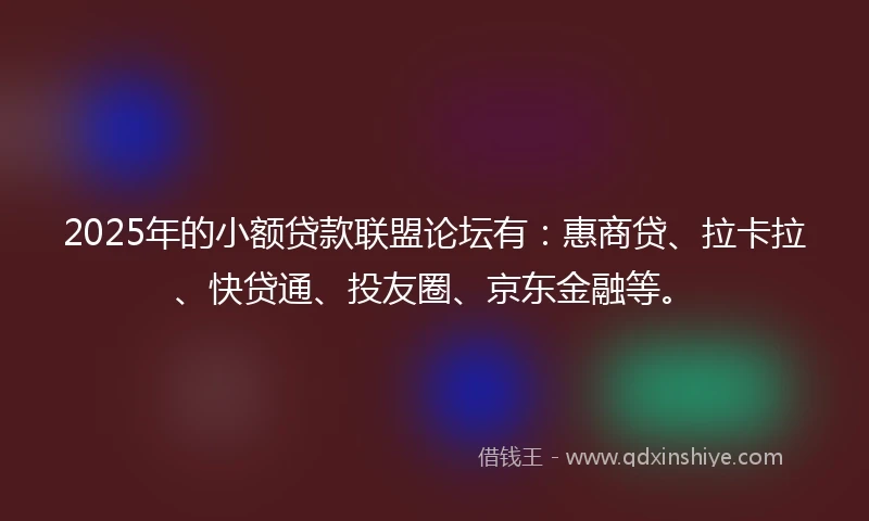 2025年的小额贷款联盟论坛有：惠商贷、拉卡拉、快贷通、投友圈、京东金融等。