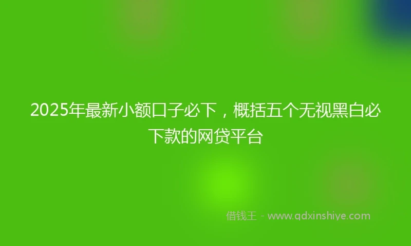 2025年最新小额口子必下，概括五个无视黑白必下款的网贷平台