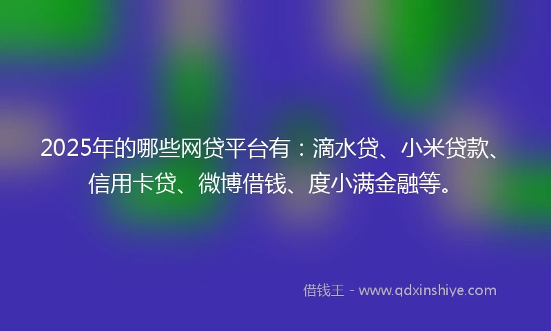 2025年的哪些网贷平台有：滴水贷、小米贷款、信用卡贷、微博借钱、度小满金融等。