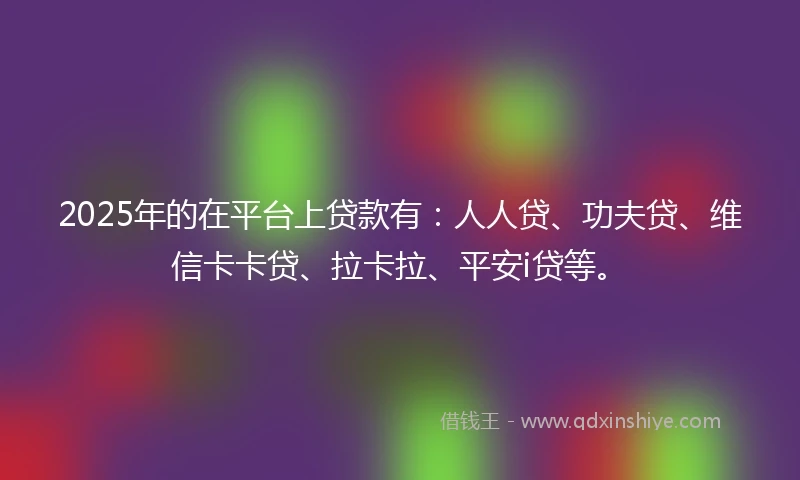 2025年的在平台上贷款有：人人贷、功夫贷、维信卡卡贷、拉卡拉、平安i贷等。