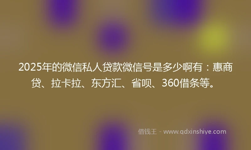 2025年的微信私人贷款微信号是多少啊有：惠商贷、拉卡拉、东方汇、省呗、360借条等。
