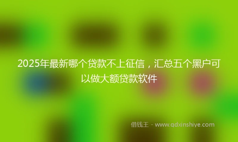 2025年最新哪个贷款不上征信，汇总五个黑户可以做大额贷款软件