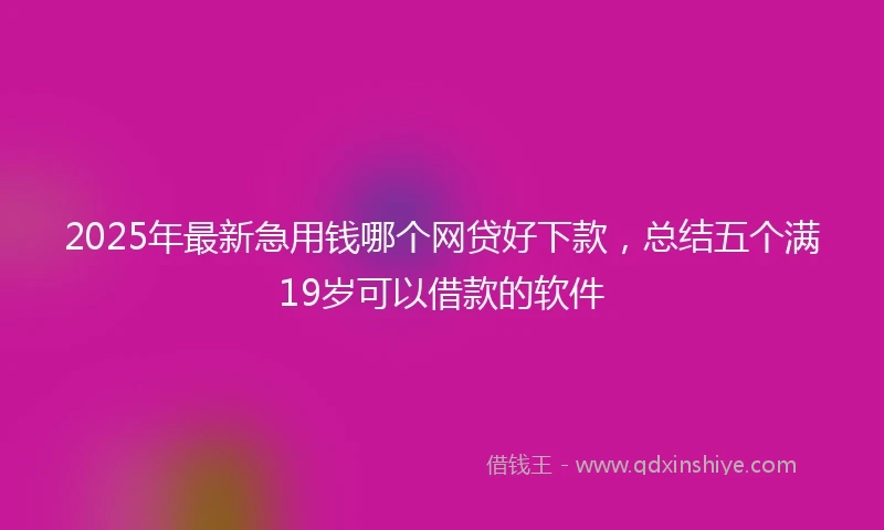 2025年最新急用钱哪个网贷好下款，总结五个满19岁可以借款的软件