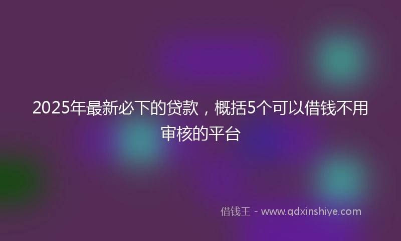 2025年最新必下的贷款，概括5个可以借钱不用审核的平台