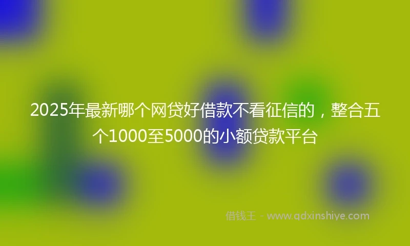 2025年最新哪个网贷好借款不看征信的，整合五个1000至5000的小额贷款平台
