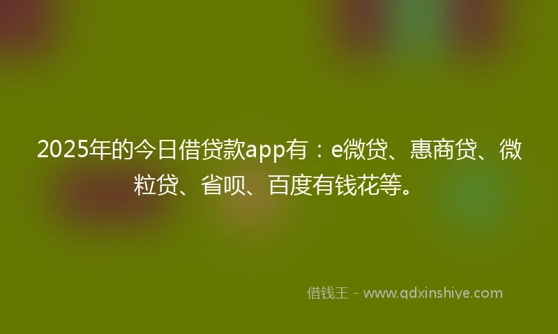 2025年的今日借贷款app有：e微贷、惠商贷、微粒贷、省呗、百度有钱花等。