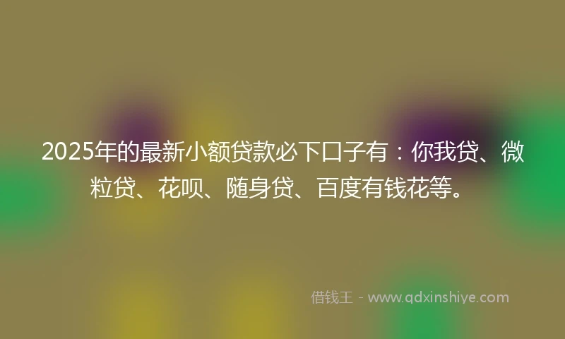 2025年的最新小额贷款必下口子有：你我贷、微粒贷、花呗、随身贷、百度有钱花等。