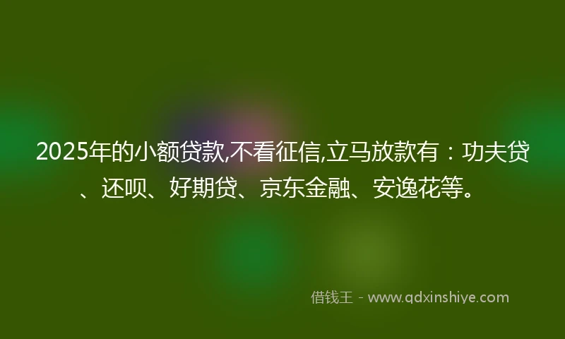 2025年的小额贷款,不看征信,立马放款有：功夫贷、还呗、好期贷、京东金融、安逸花等。