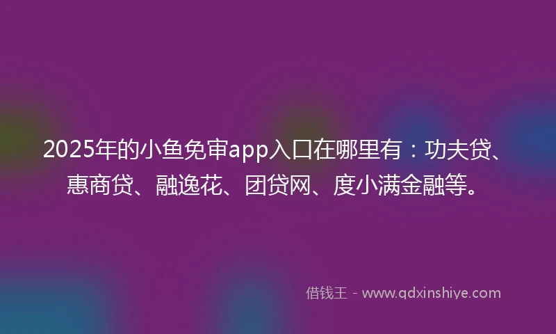 2025年的小鱼免审app入口在哪里有：功夫贷、惠商贷、融逸花、团贷网、度小满金融等。