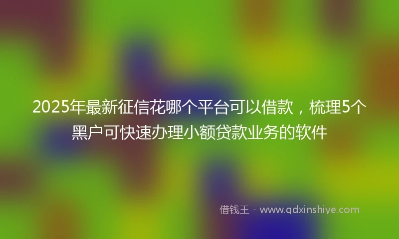 2025年最新征信花哪个平台可以借款，梳理5个黑户可快速办理小额贷款业务的软件