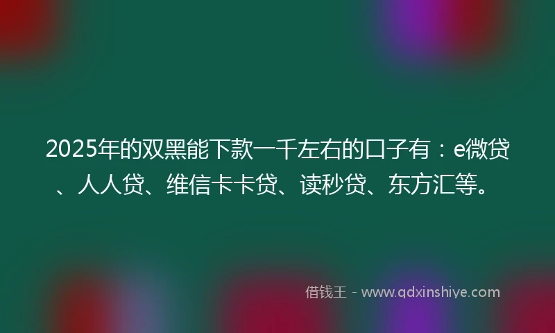 2025年的双黑能下款一千左右的口子有：e微贷、人人贷、维信卡卡贷、读秒贷、东方汇等。