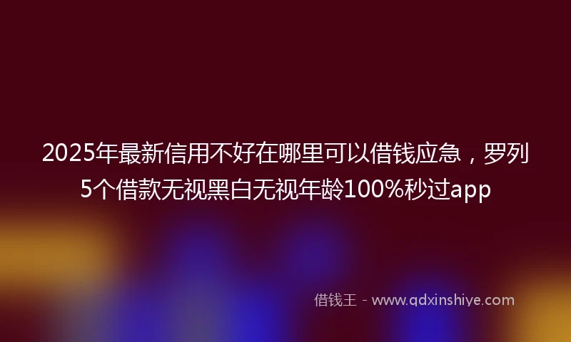 2025年最新信用不好在哪里可以借钱应急，罗列5个借款无视黑白无视年龄100%秒过app