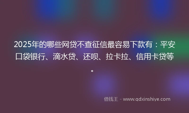 2025年的哪些网贷不查征信最容易下款有：平安口袋银行、滴水贷、还呗、拉卡拉、信用卡贷等。