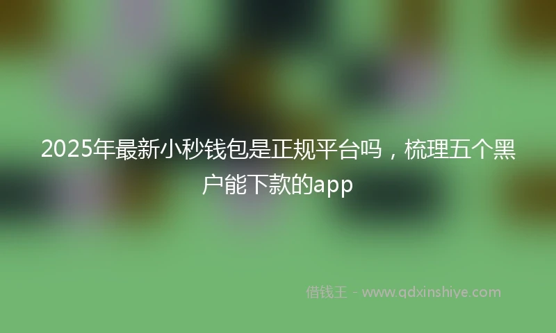 2025年最新小秒钱包是正规平台吗，梳理五个黑户能下款的app